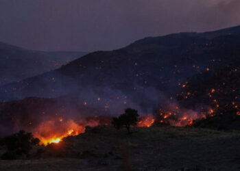 ‘Nightmarish’ Wildfire in Crete Kills Two Firefighters as Thousands Evacuate