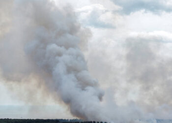 Dozens Evacuated as Firefighters Battle Wildfire in Eastern England