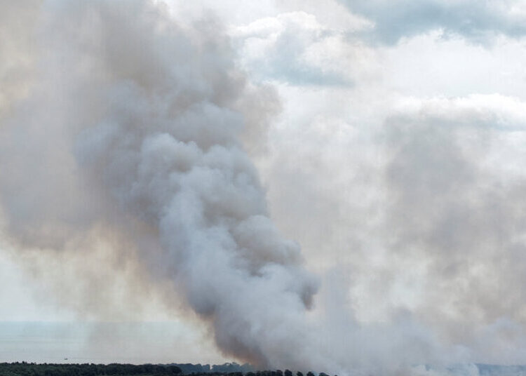 Dozens Evacuated as Firefighters Battle Wildfire in Eastern England