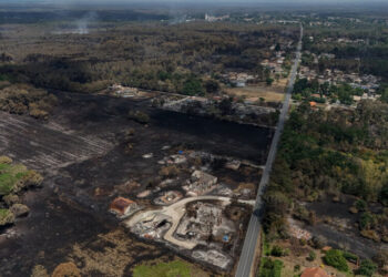 In Area Hit by Blaze, French Officials Failed to Enforce Wildfire Rules