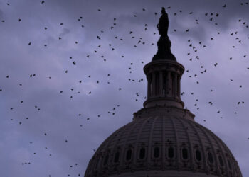 What Worries Democrats as the Midterms Heat Up