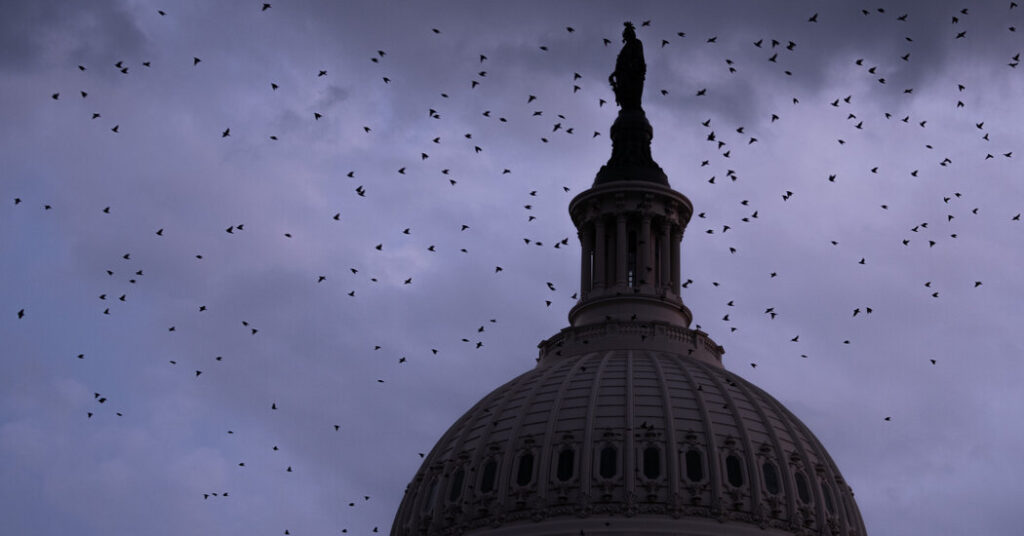 What Worries Democrats as the Midterms Heat Up