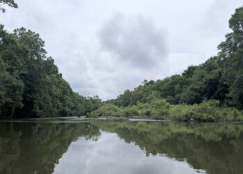 This failed Tennessee dam should stay dead