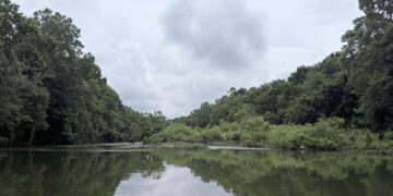 This failed Tennessee dam should stay dead