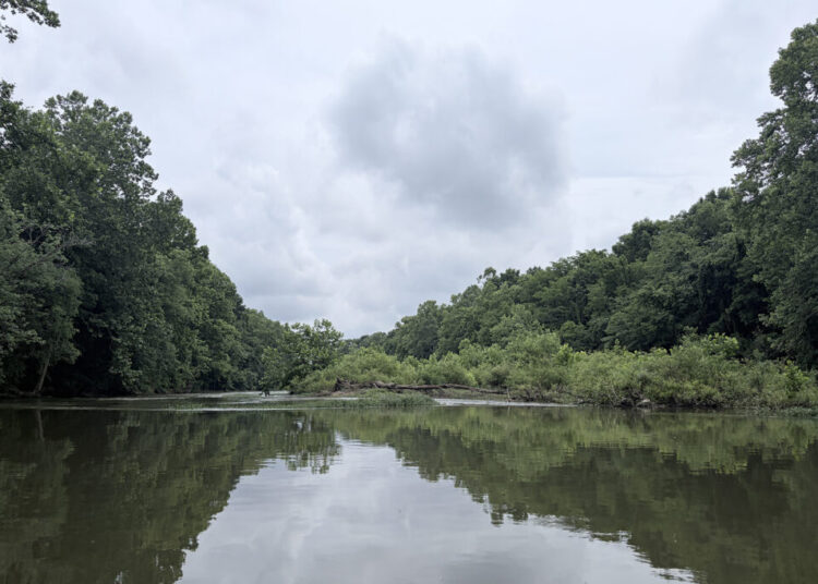 This failed Tennessee dam should stay dead