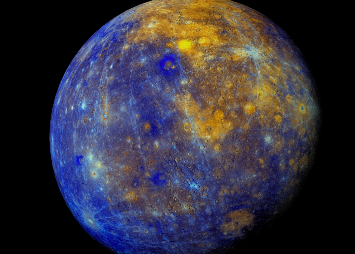 5 Signs Mercury Retrograde Is Messing With Your Pet, According to an Astrologer