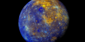 5 Signs Mercury Retrograde Is Messing With Your Pet, According to an Astrologer