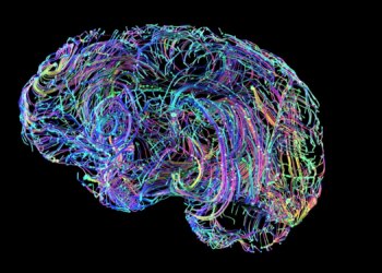5 Things Emotionally Intelligent People Do Differently
