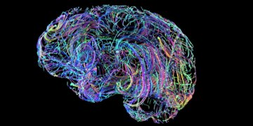 5 Things Emotionally Intelligent People Do Differently