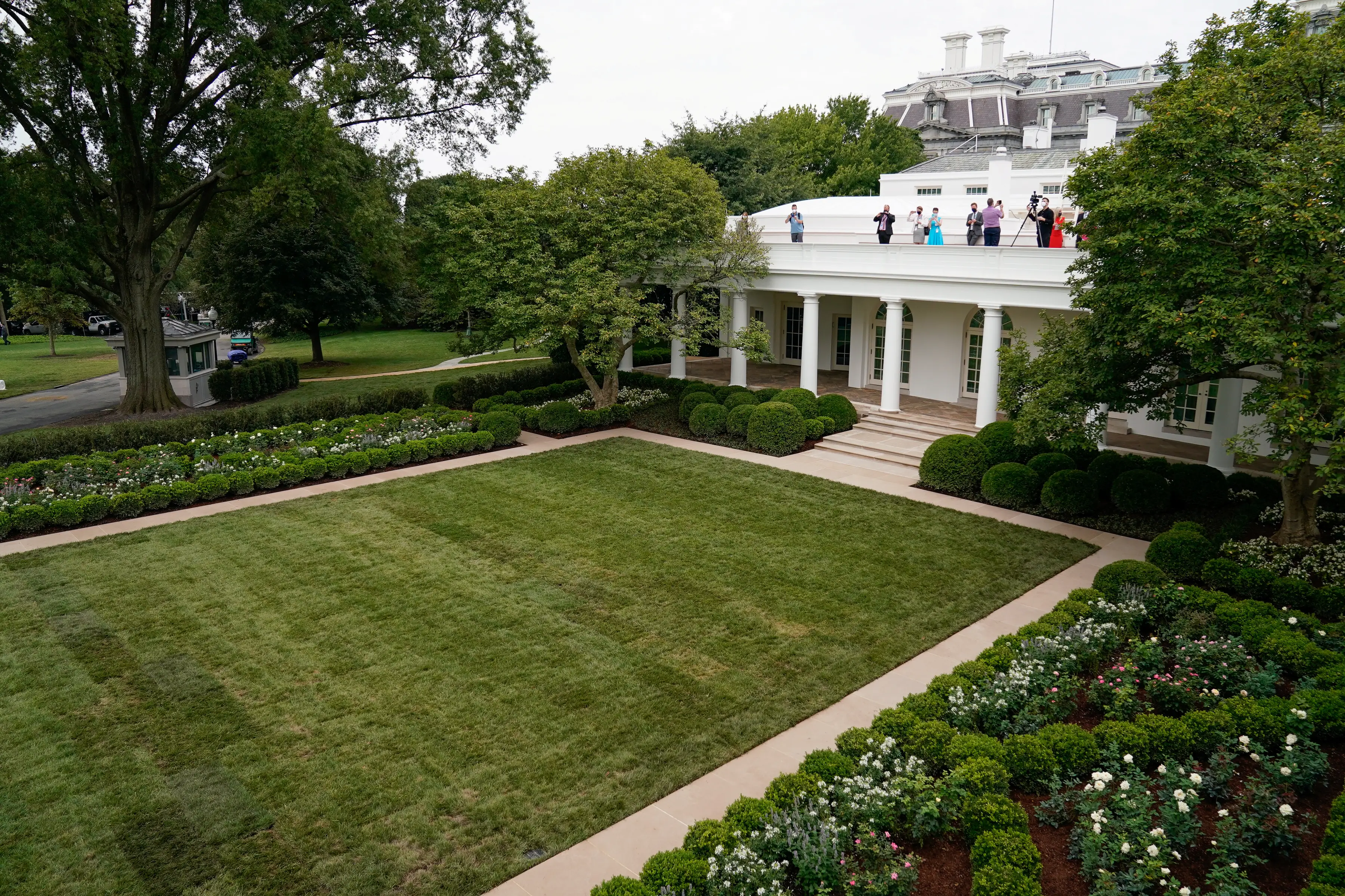 white house rose garden melania trump