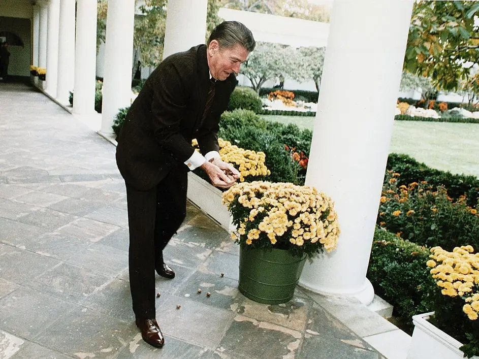Ronald Reagan in the Rose Garden