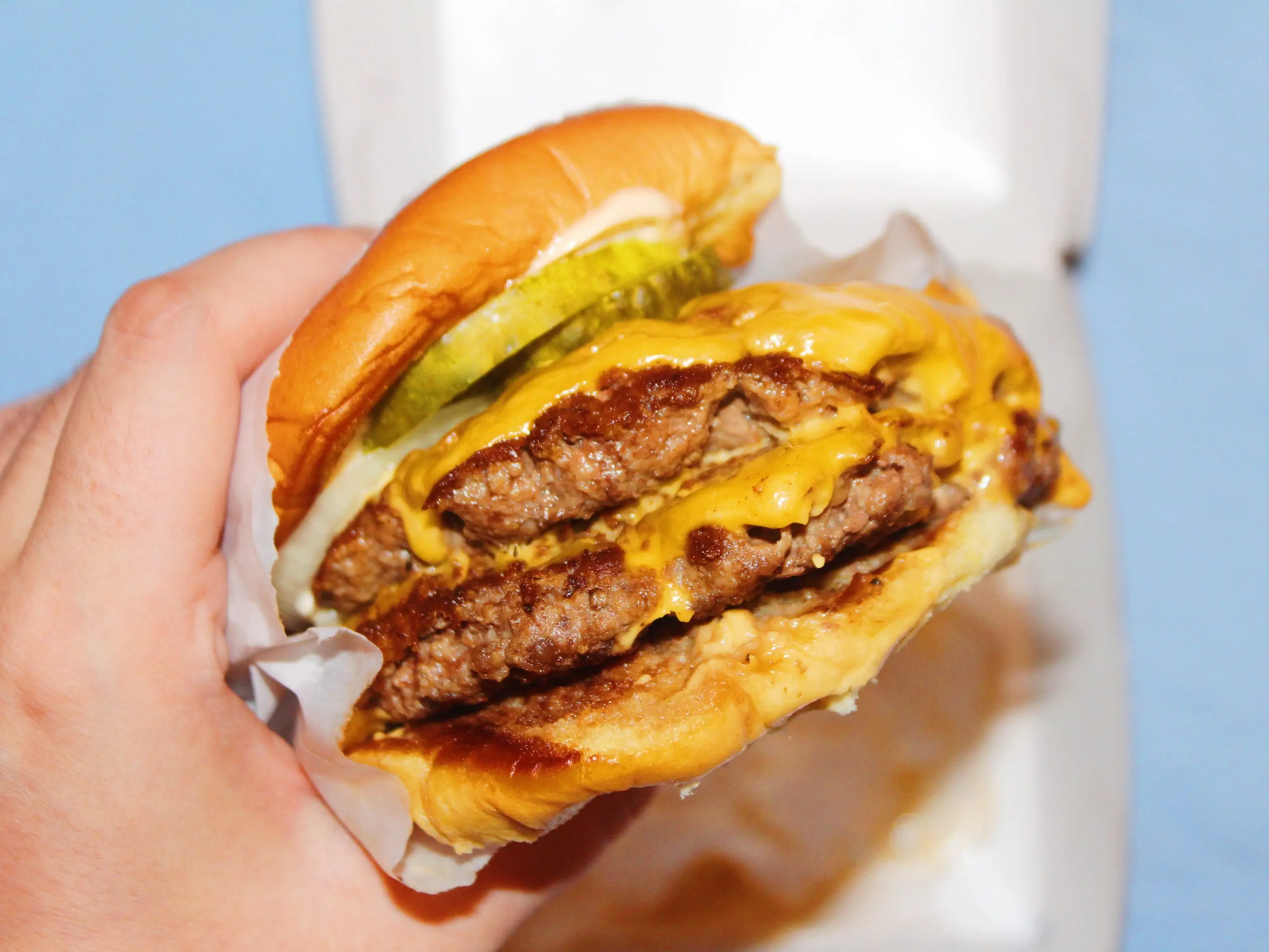 shake shack double cheeseburger in paper wrapping on blue background