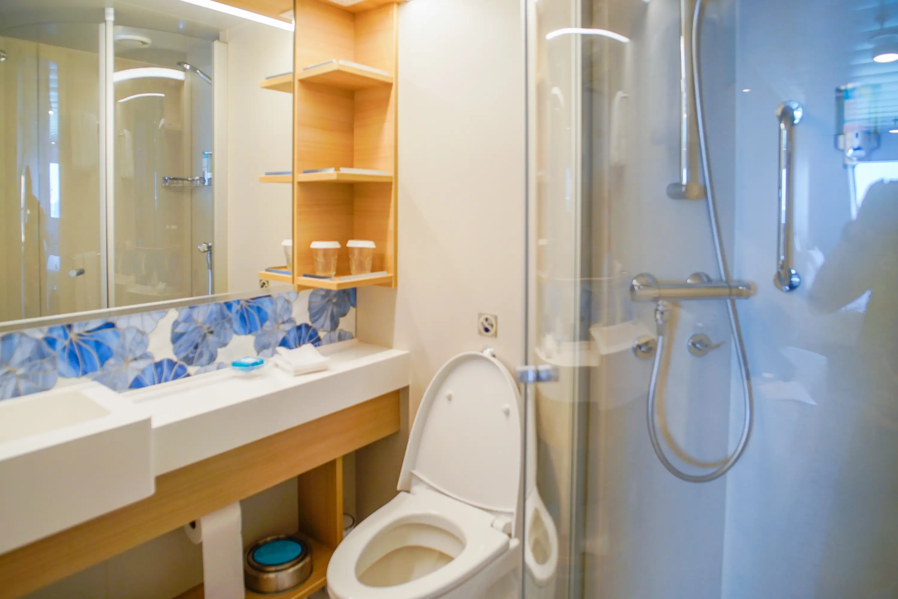 bathroom in stateroom on world's largest cruise ship
