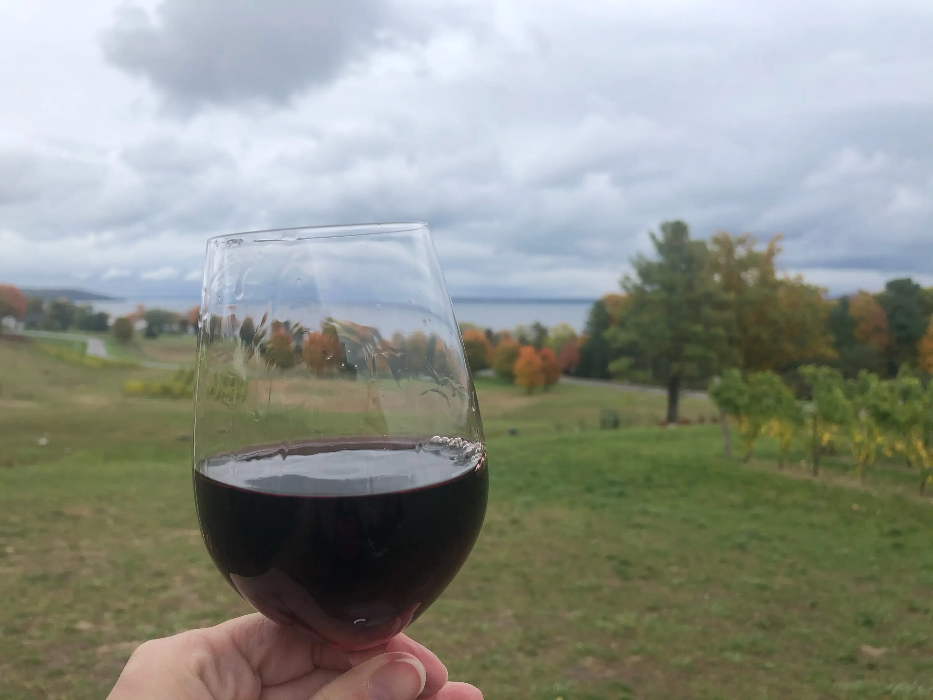 Wine glass in hand at Mari Vineyards