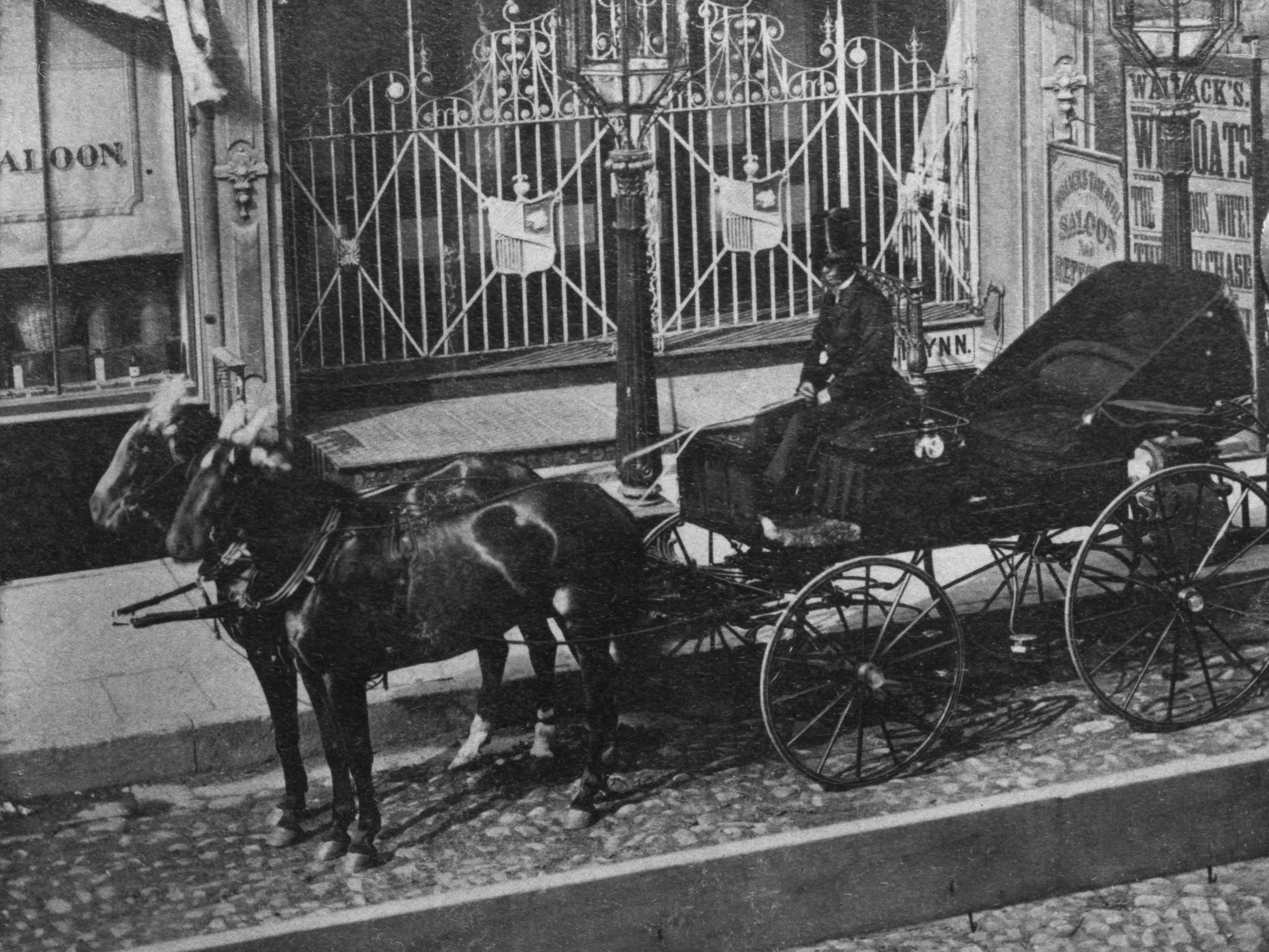 horse and buggy in new york