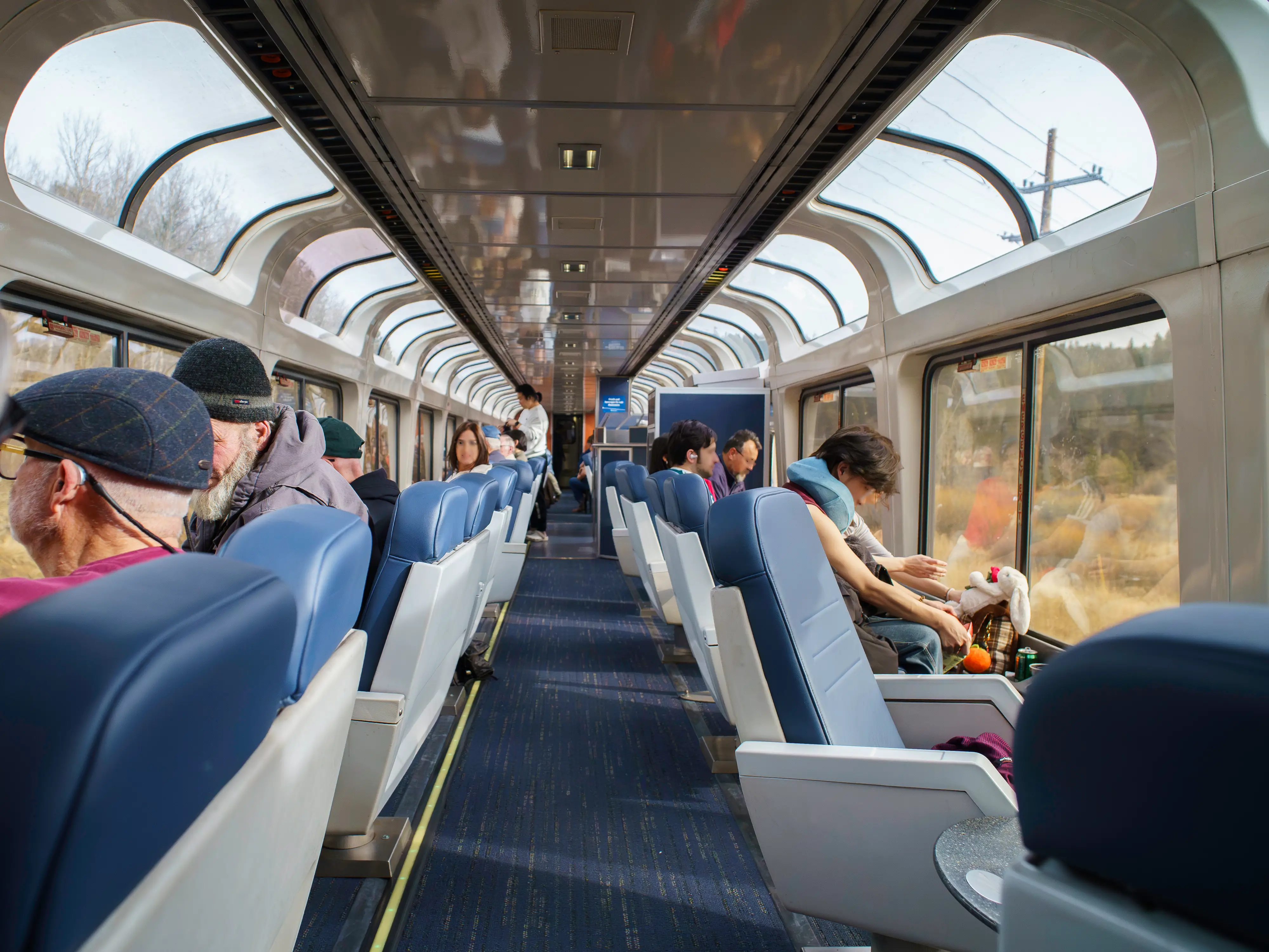 Passengers sit on both sides of the observation car