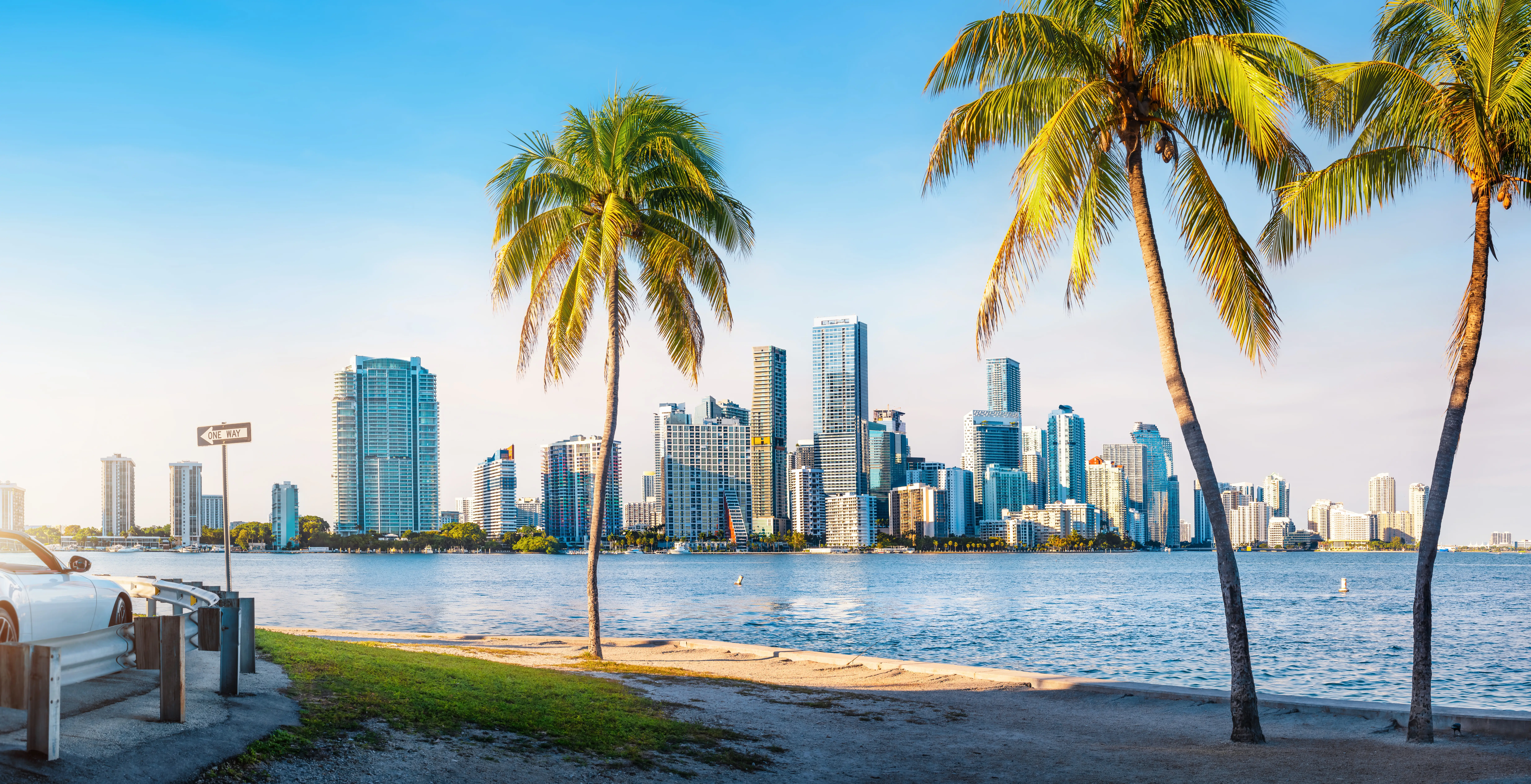 The skyline of Miami with palm trees.