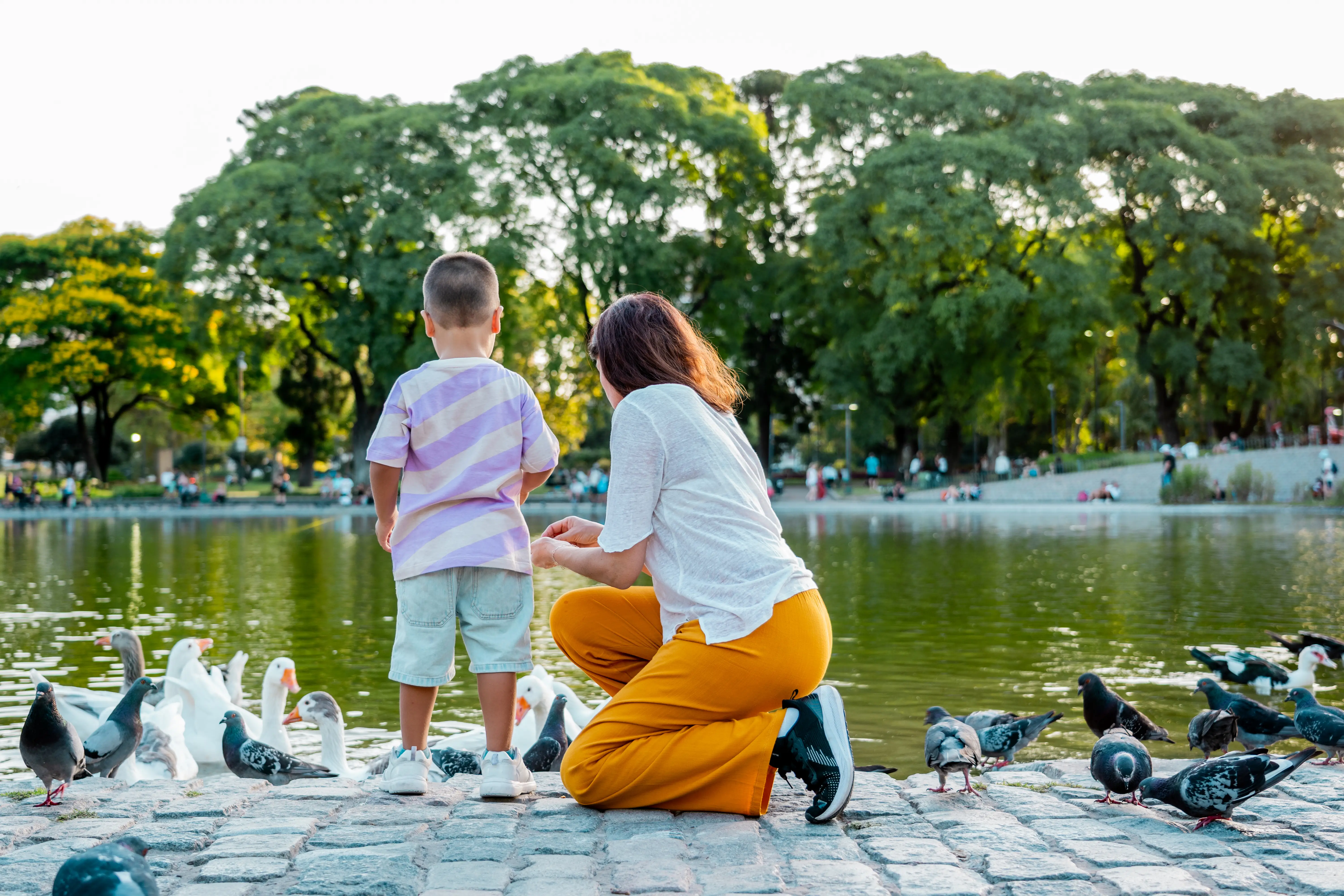 A grandmother and grandson feeding birds in the park