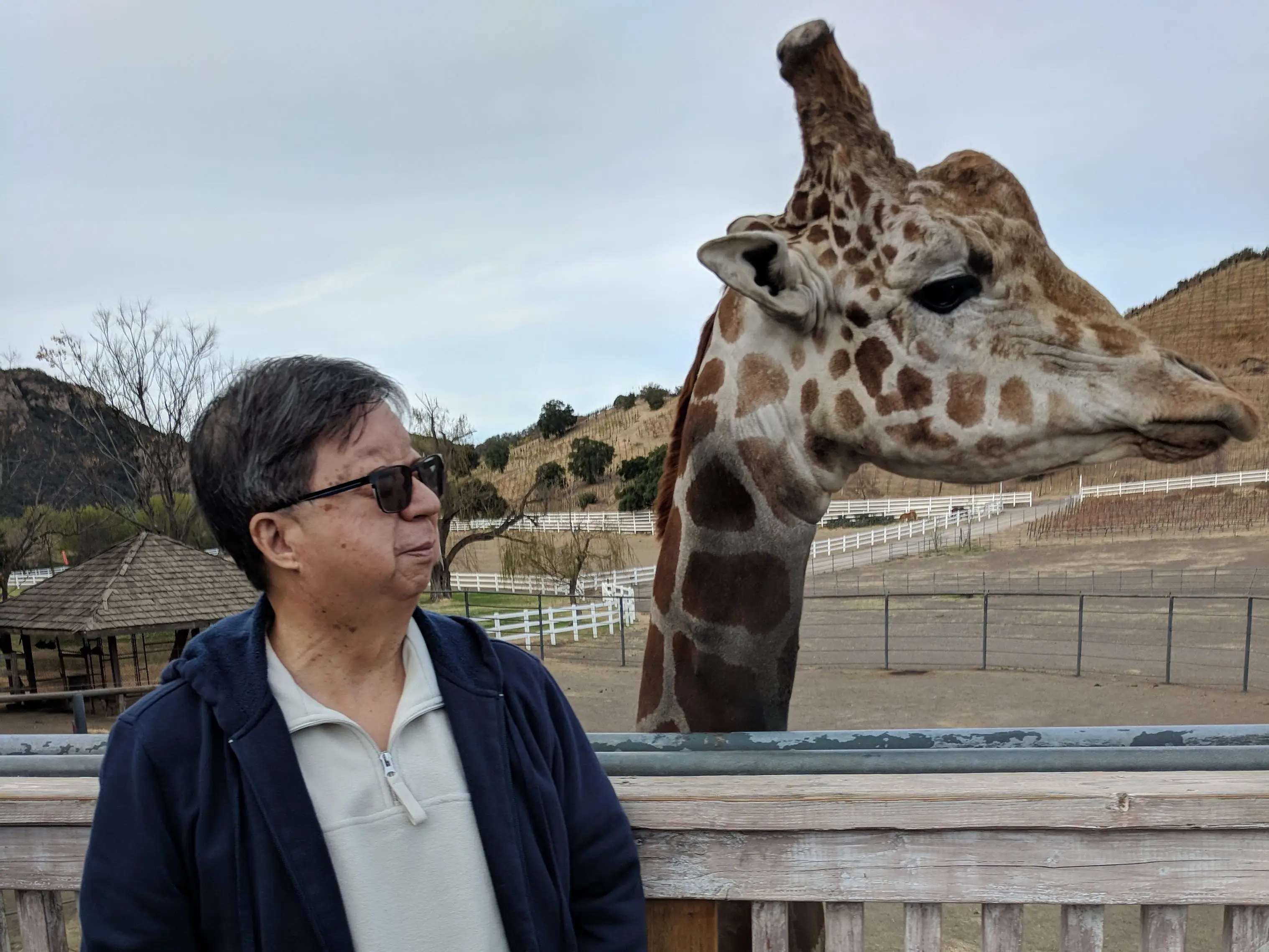 Man posing with giraffe