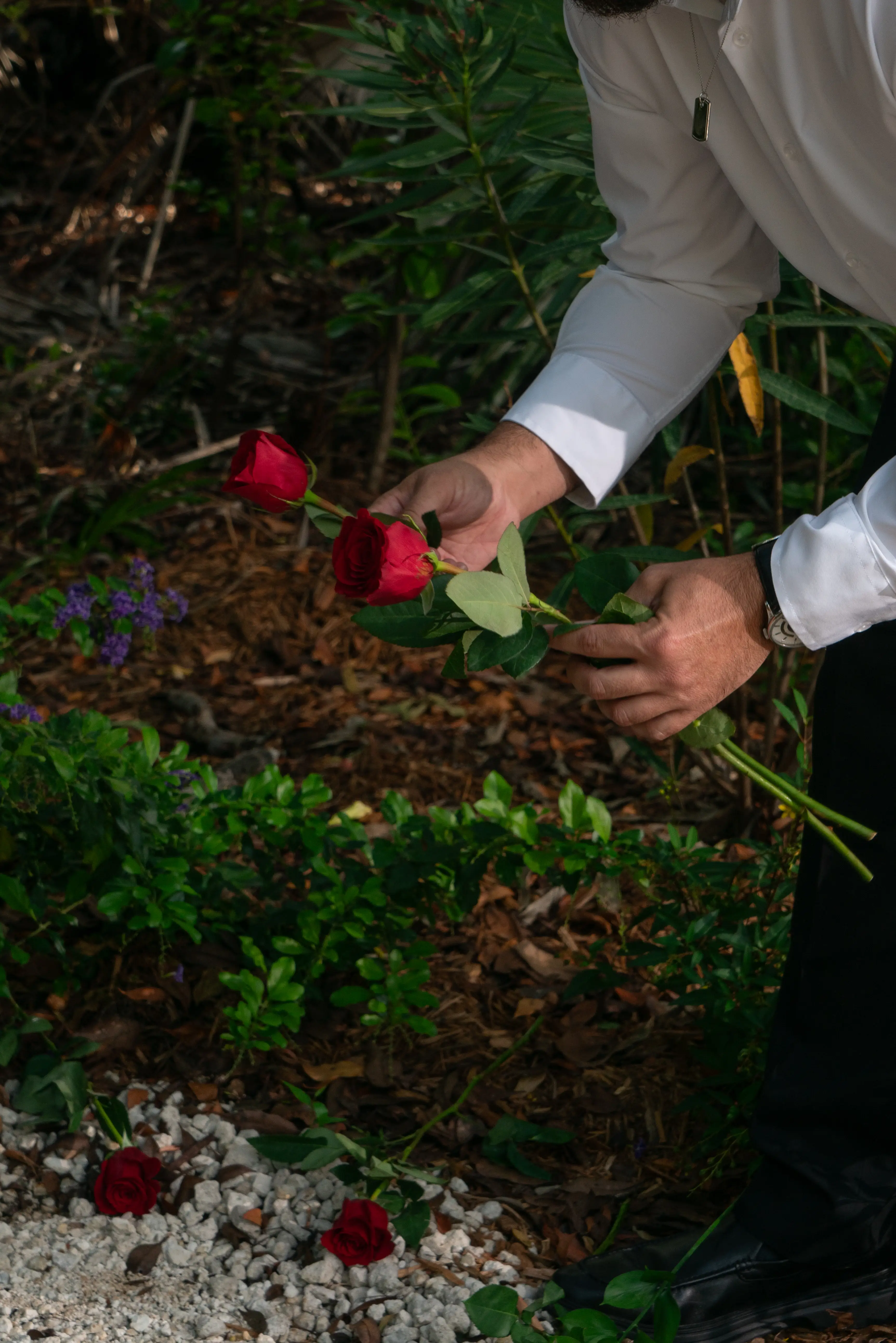 Dillon Angulo places roses at the memorial for girlfriend Naibel Benavides on Card Sound Rd. in Key Largo, FL.