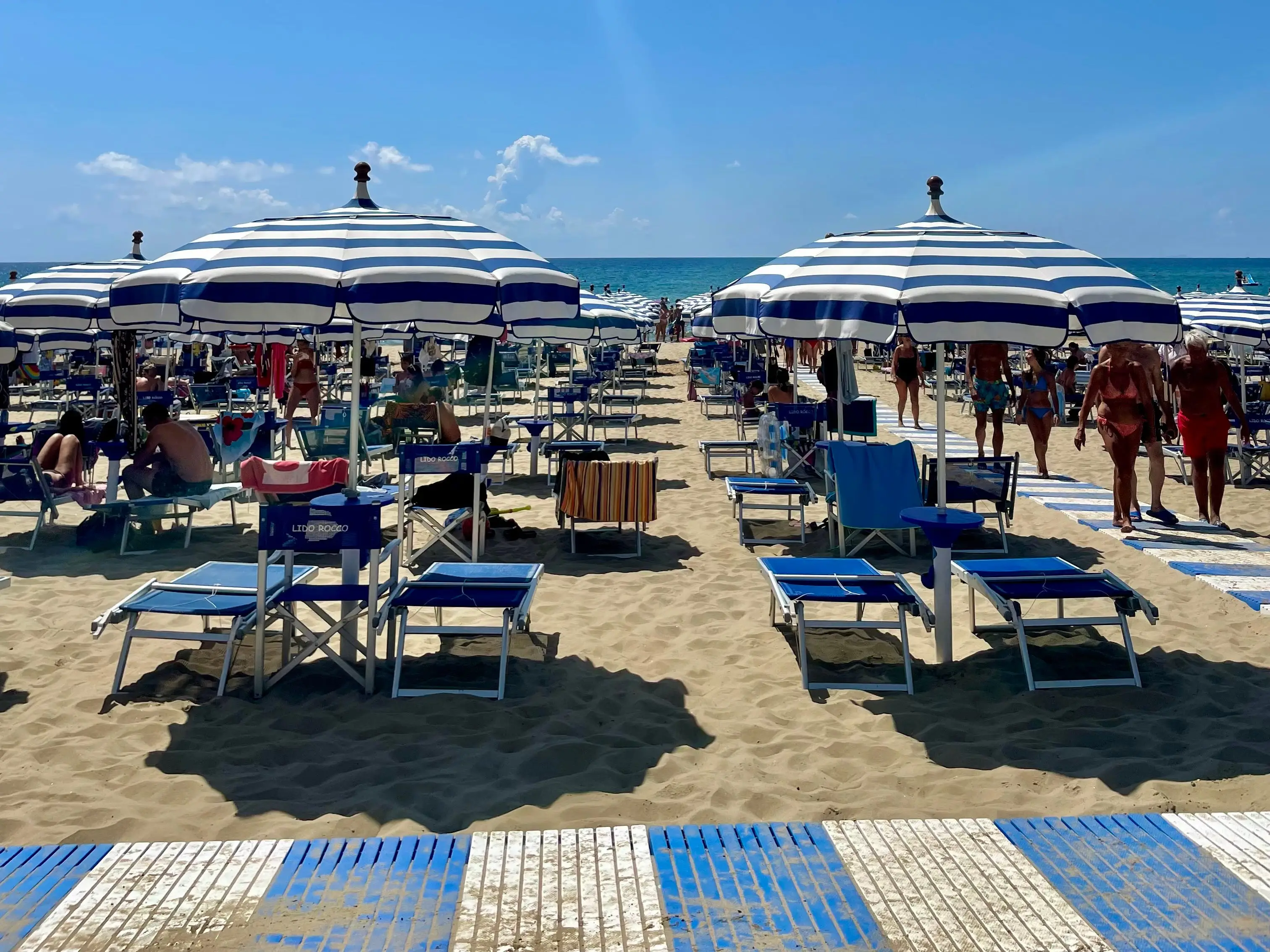 Umbrellas and sunbeds on a beach.