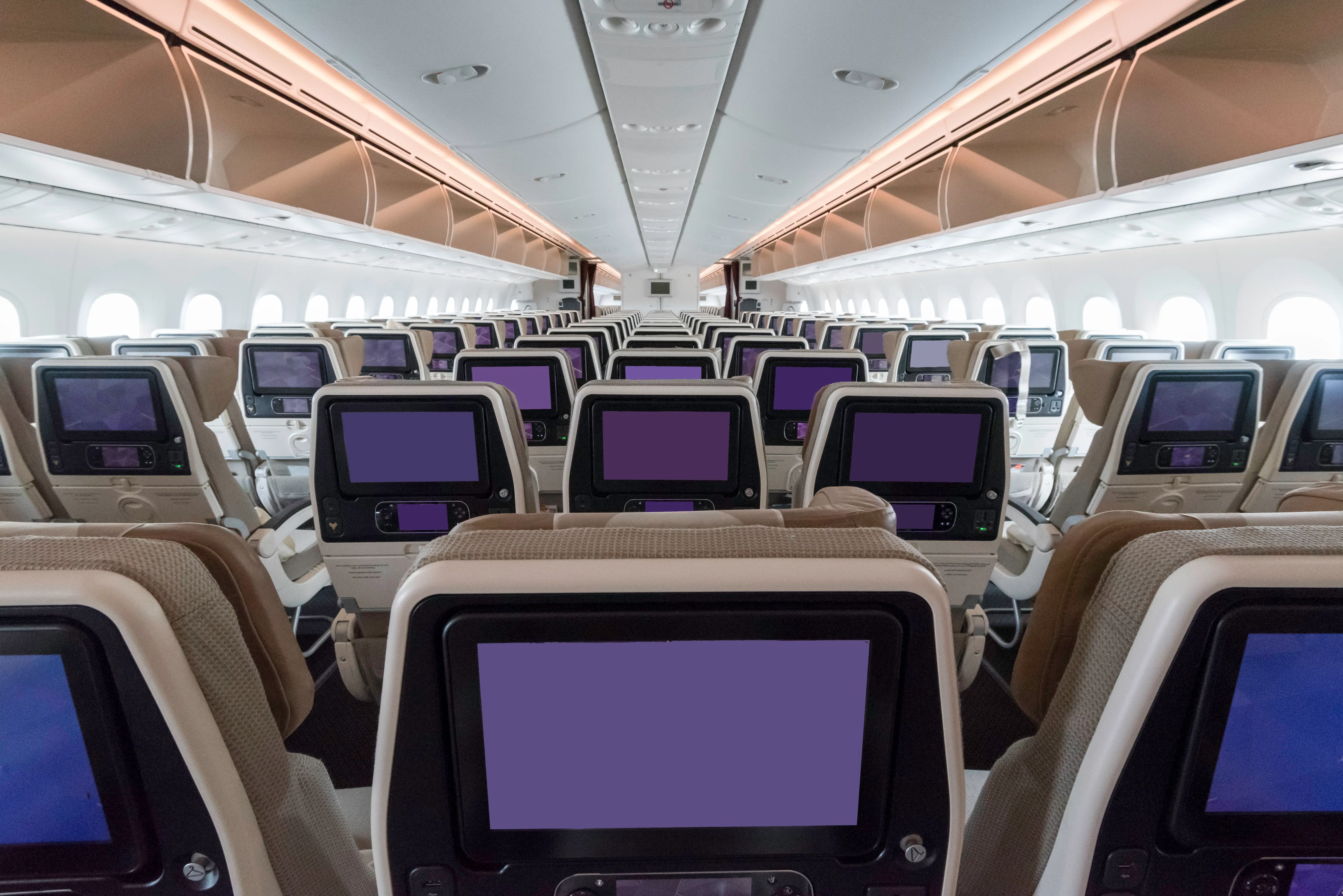 The economy cabin of Etihad's Boeing 787.