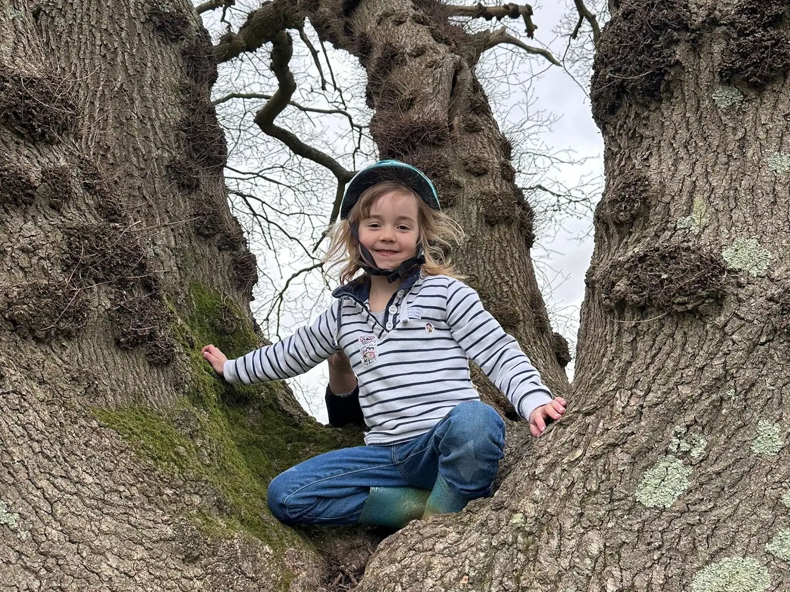 The author's daughter in a tree.
