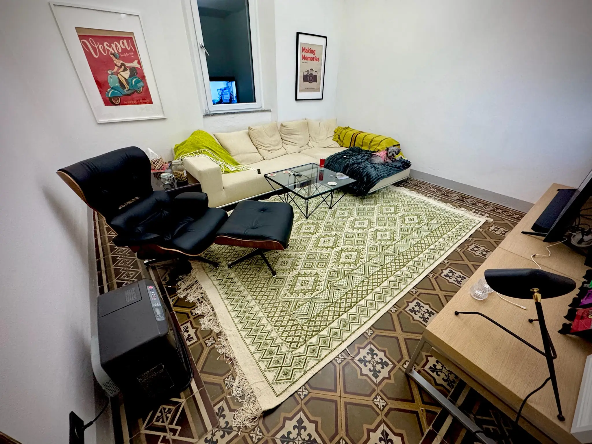 Room with lounger, green carpet, white walls
