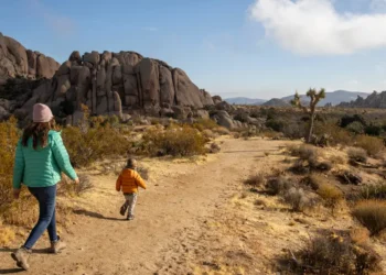 I took my toddler and 3-month-old on a work trip. It was exactly as chaotic as you’d imagine — but I’d do it again.