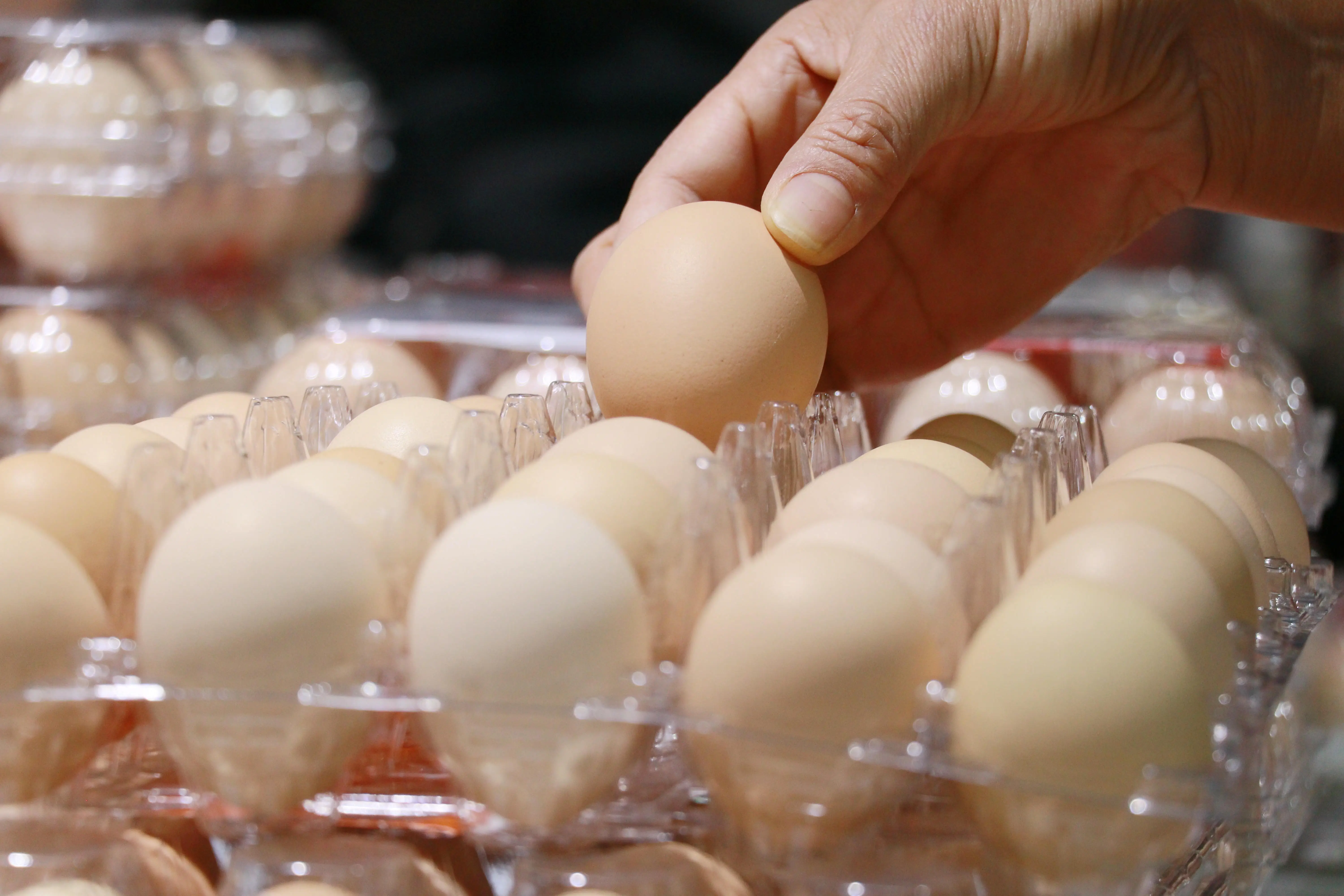 eggs in a plastic carton
