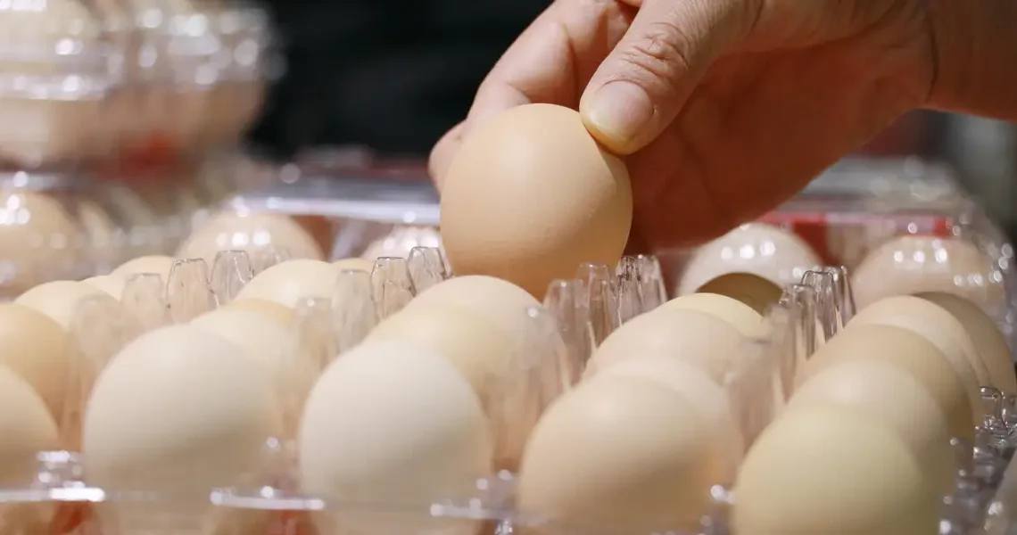 We were gaslit by Big Egg about egg prices (allegedly)
