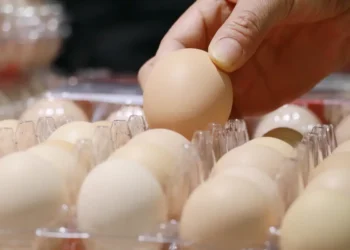 We were gaslit by Big Egg about egg prices (allegedly)