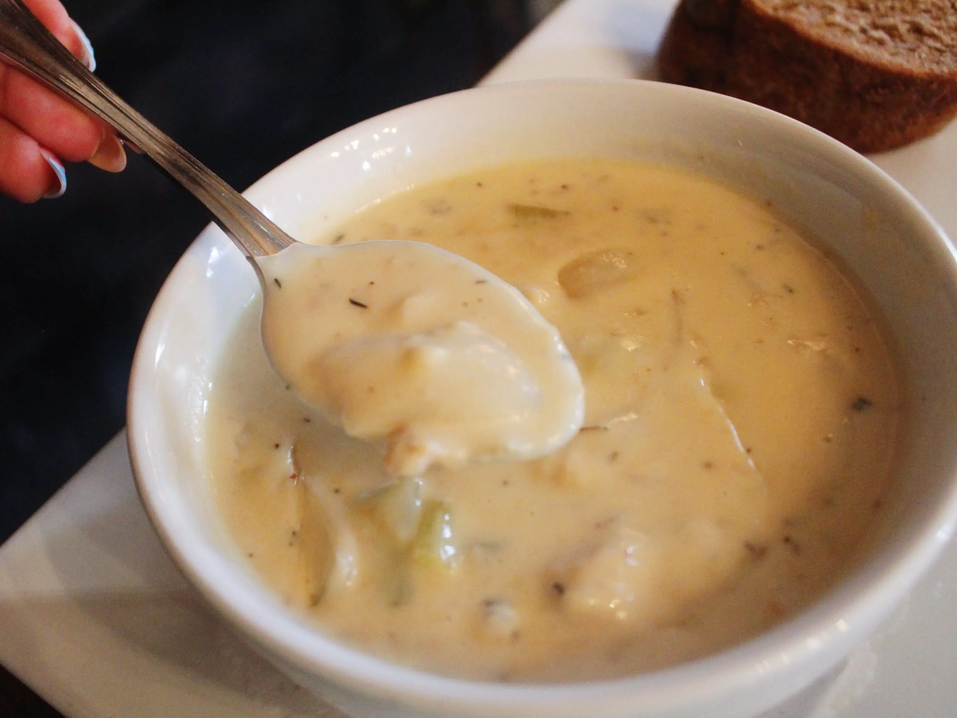 fraunces tavern clam chowder