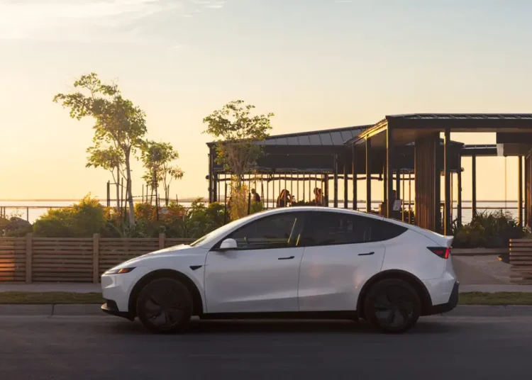 Tesla is selling summer gear, including a $595 Model Y trunk fridge