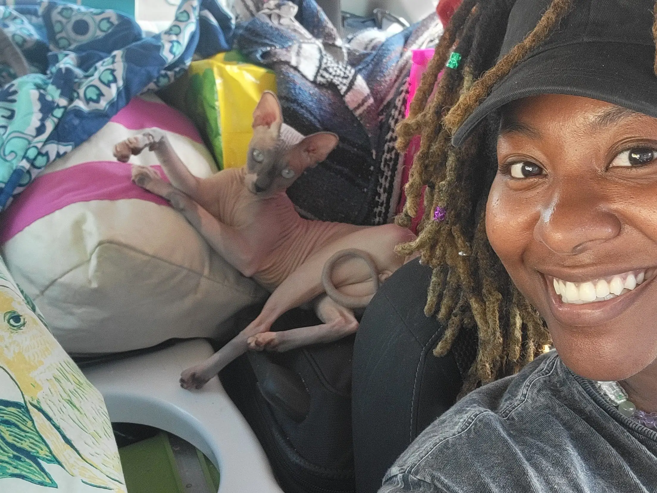 The writer and her cat in a packed van, moving across the country for a job.