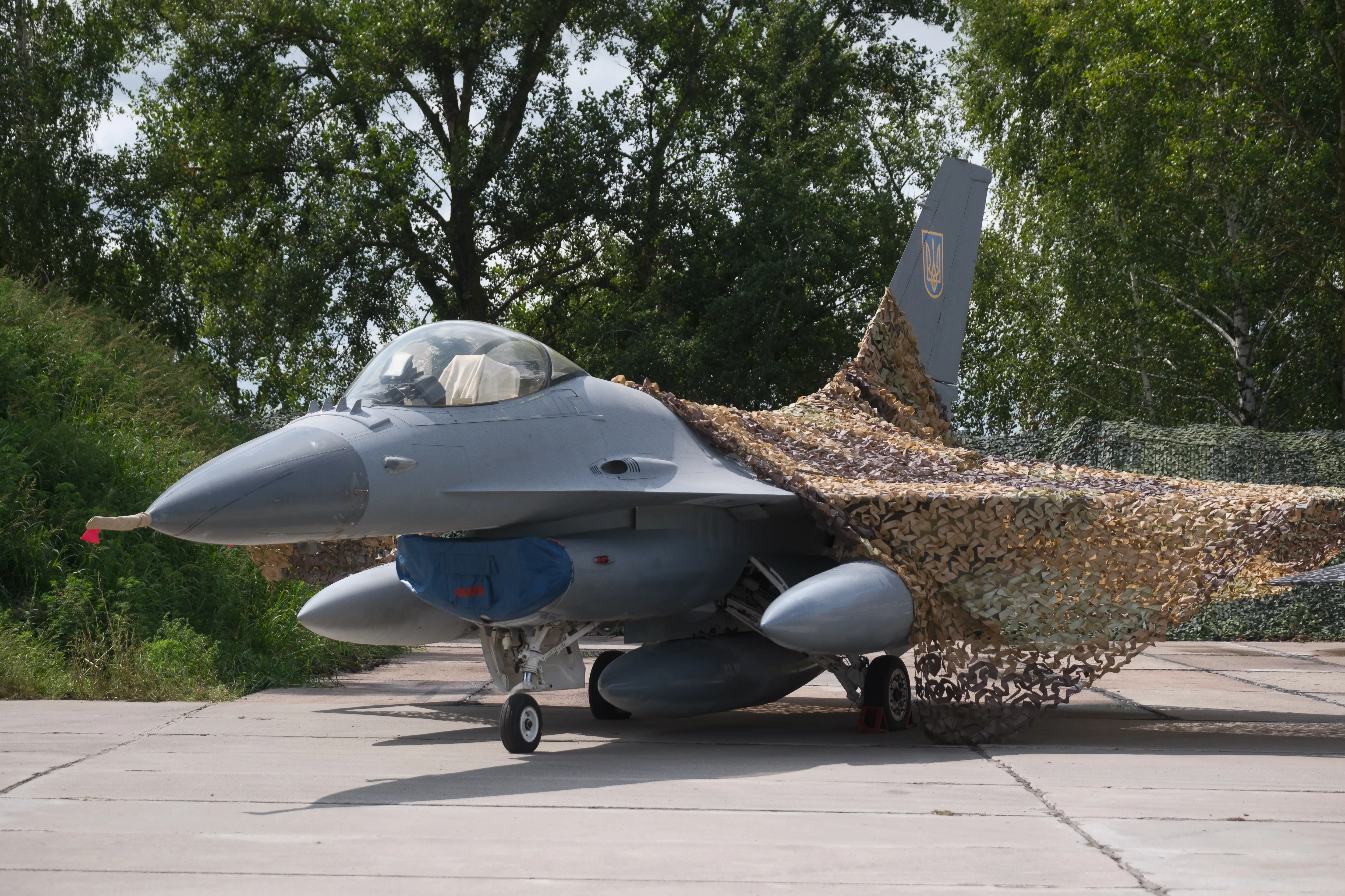 A grey jet on tarmac beside trees with khaki netting over it