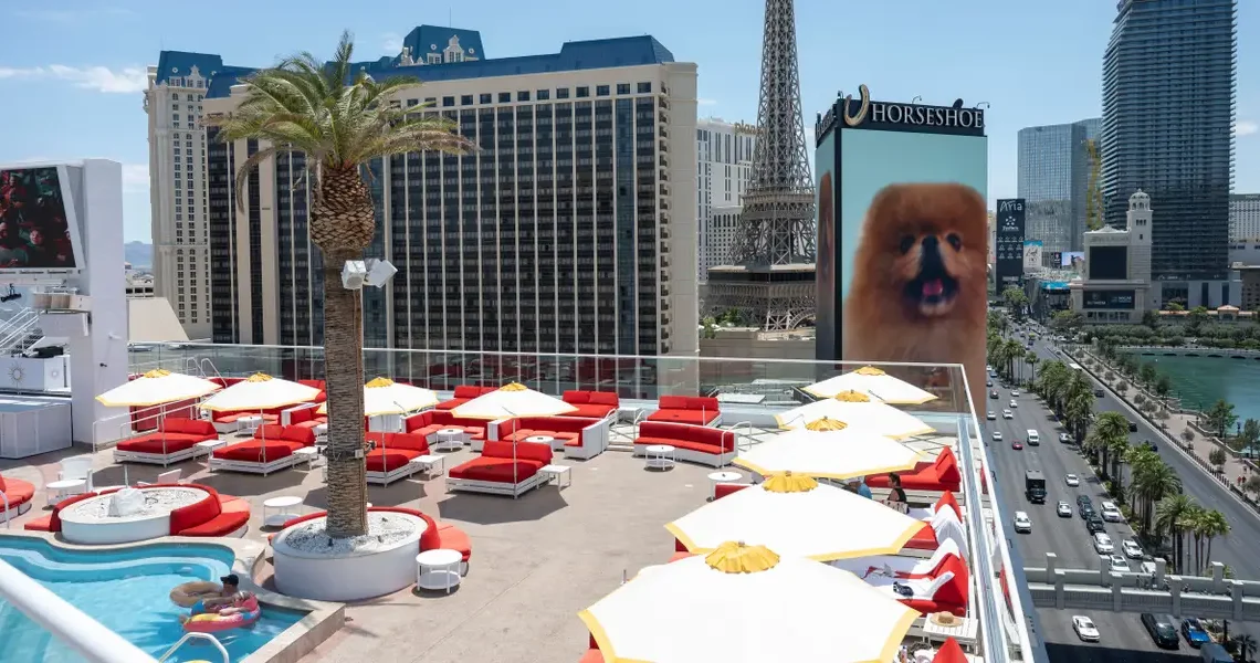 I spent 2 nights at Lisa Vanderpump’s brand-new Las Vegas hotel. I think she’s ready to become the Queen of Sin City.
