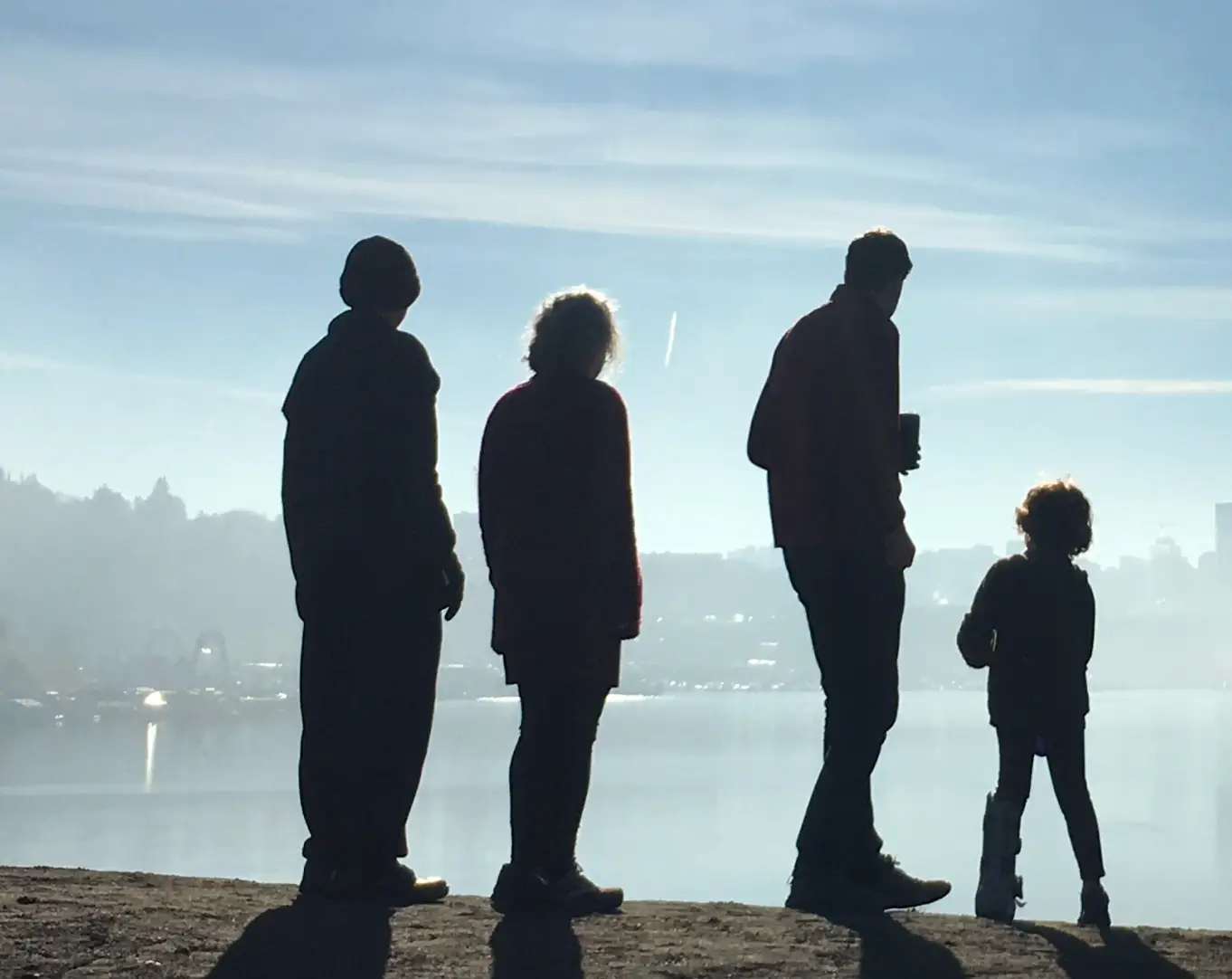 Four shadowed figures of all age groups, looking out at a lake.
