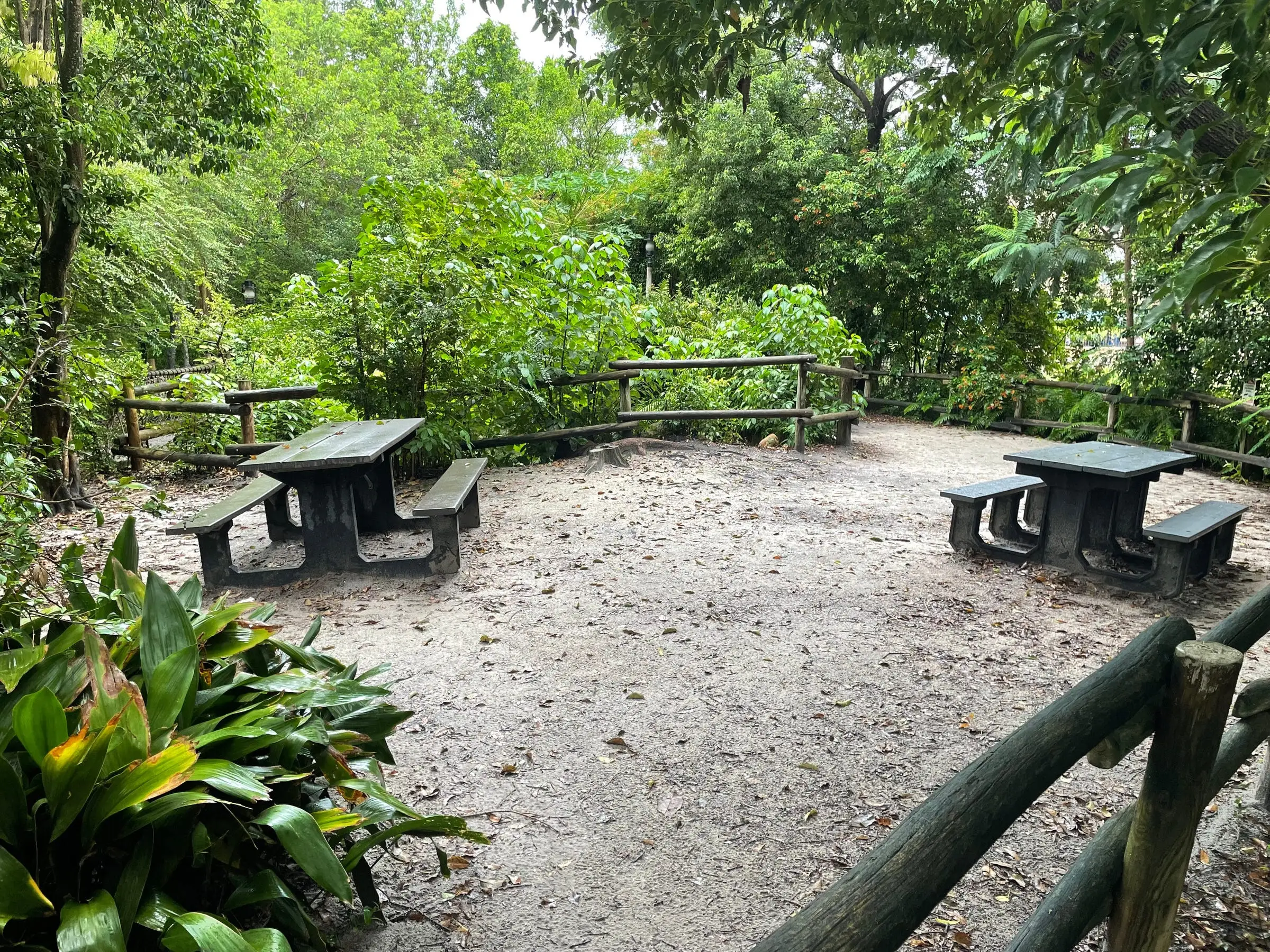 picnic tables on tom sawyer island in disney