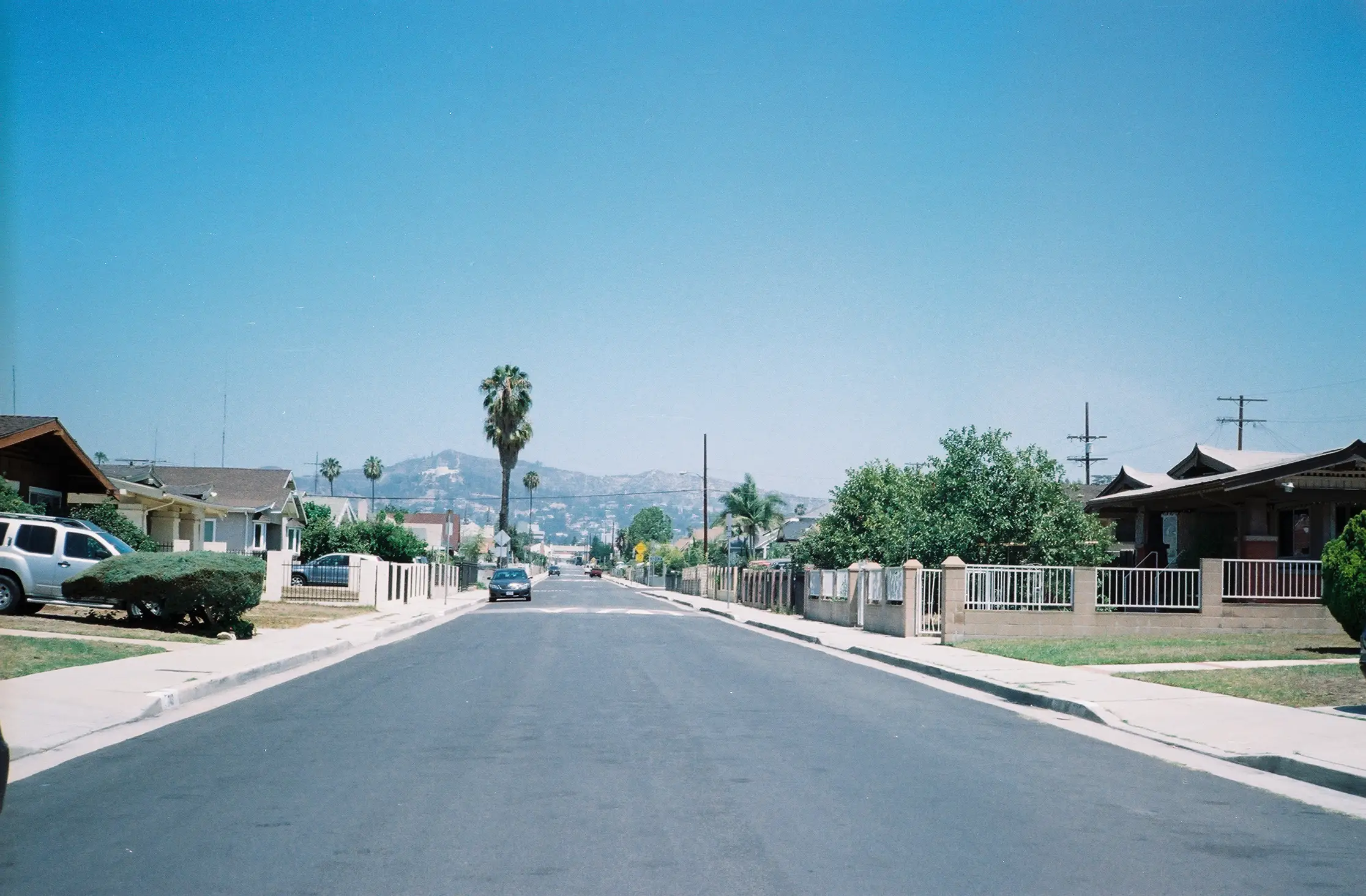 A street in Los Angeles with homes and palm trees.