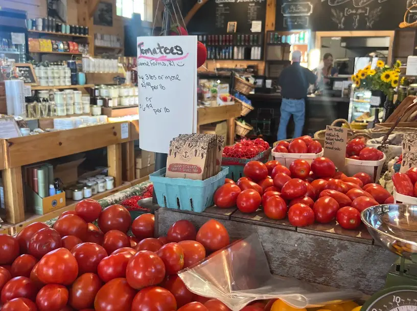 Fresh tomatoes at Quonnie Farms in Charlestown, Rhode Island.