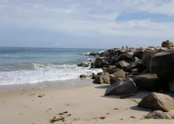 I live in Rhode Island. My favorite town to visit in the summer has great seafood, quiet beaches, and a bamboo forest.