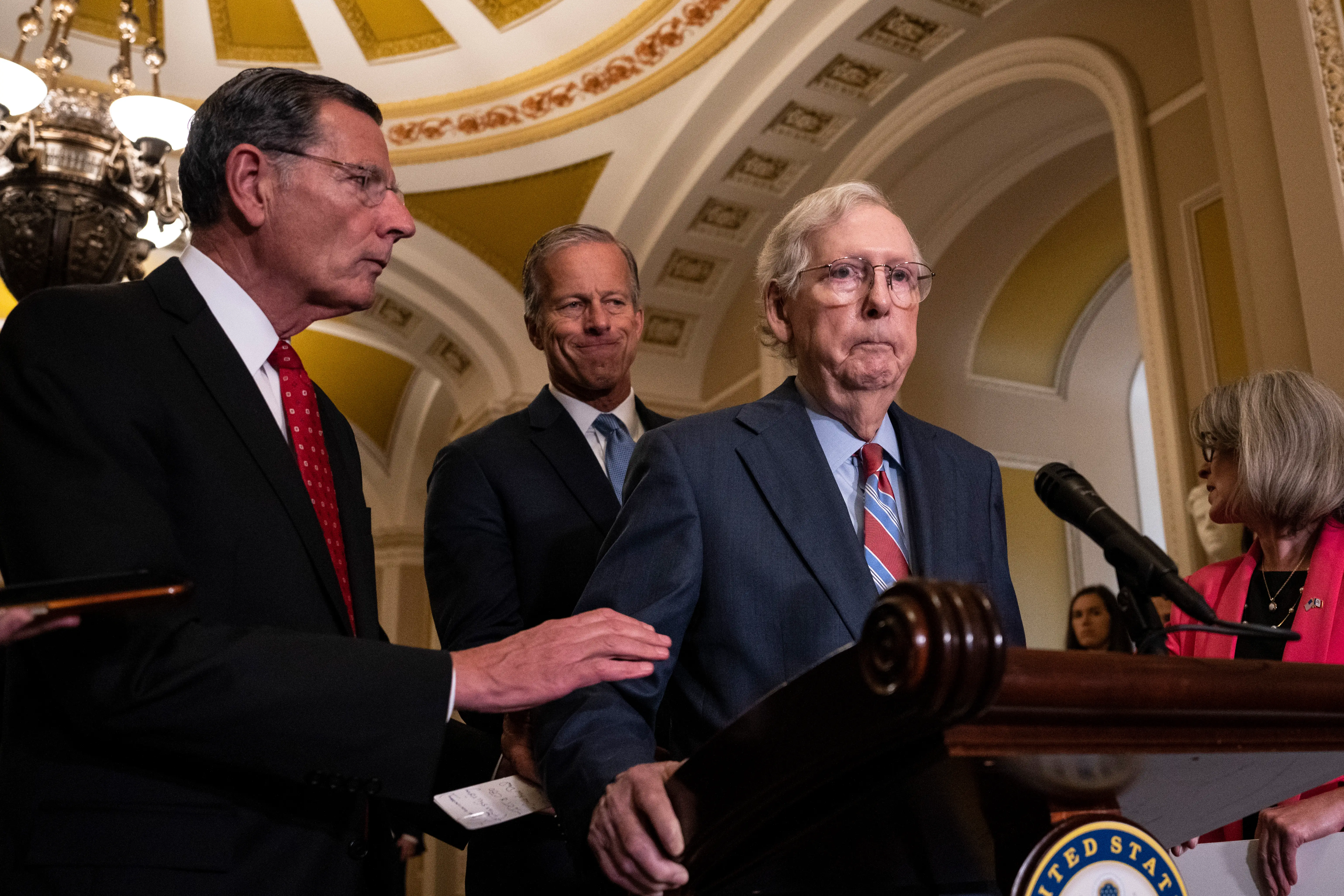 Mitch McConnell froze and stopped speaking.