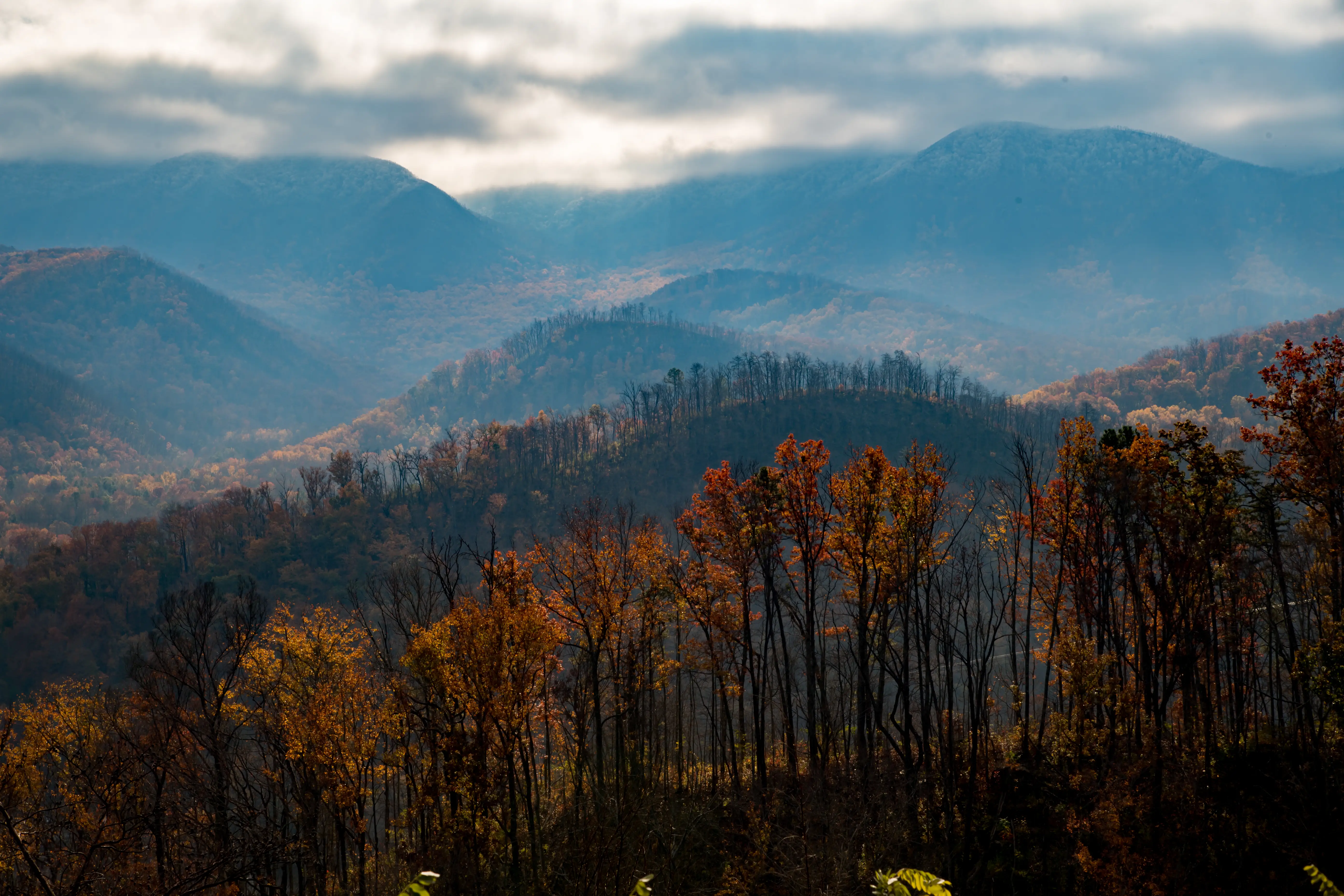Tennessee's Great Smoky Mountains National Park.