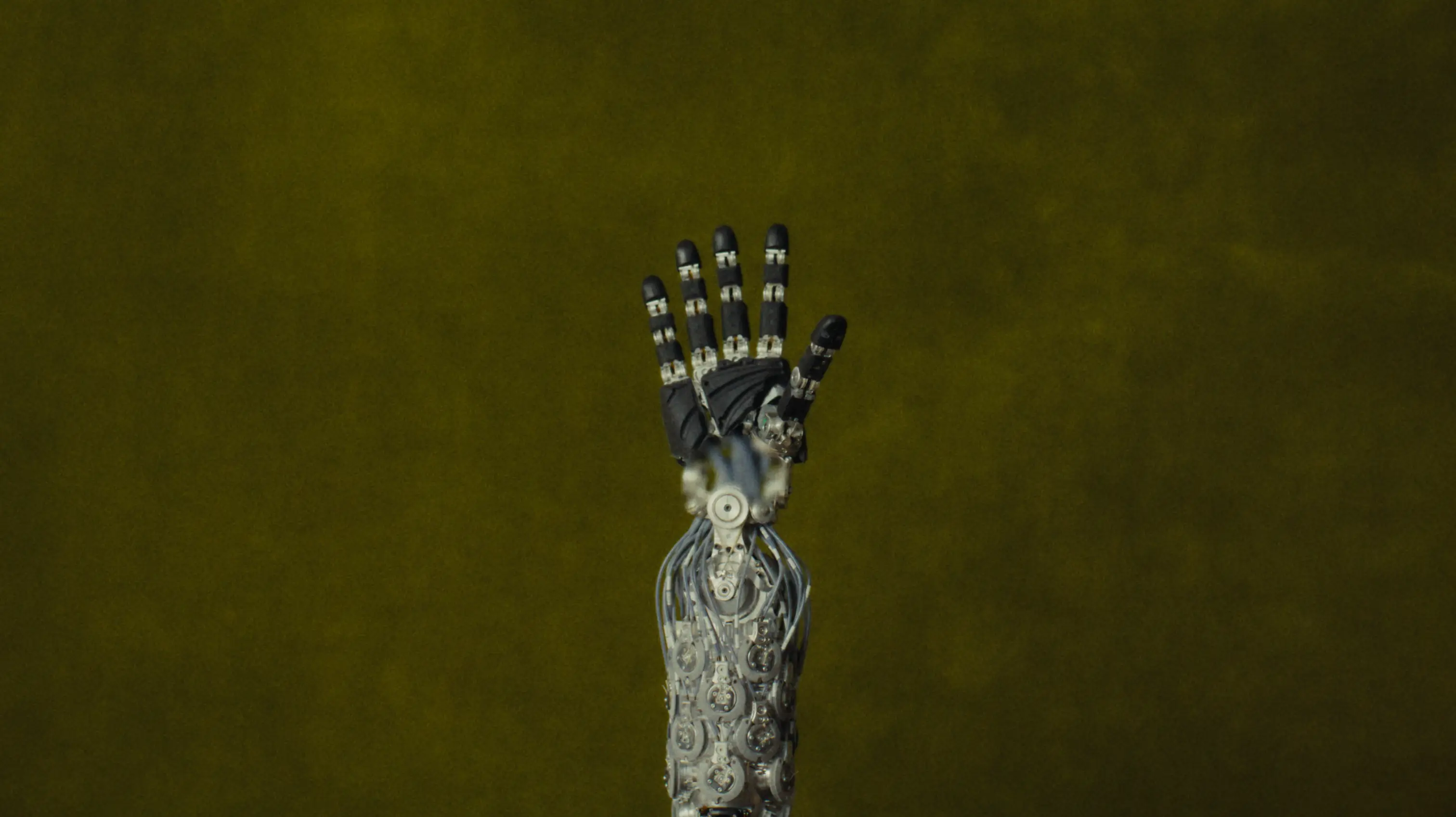 1X new hands