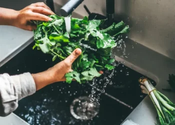 A parasite that causes diarrhea has been detected in 31 states: How to prepare food and what to avoid