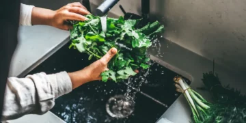 A parasite that causes diarrhea has been detected in 31 states: How to prepare food and what to avoid