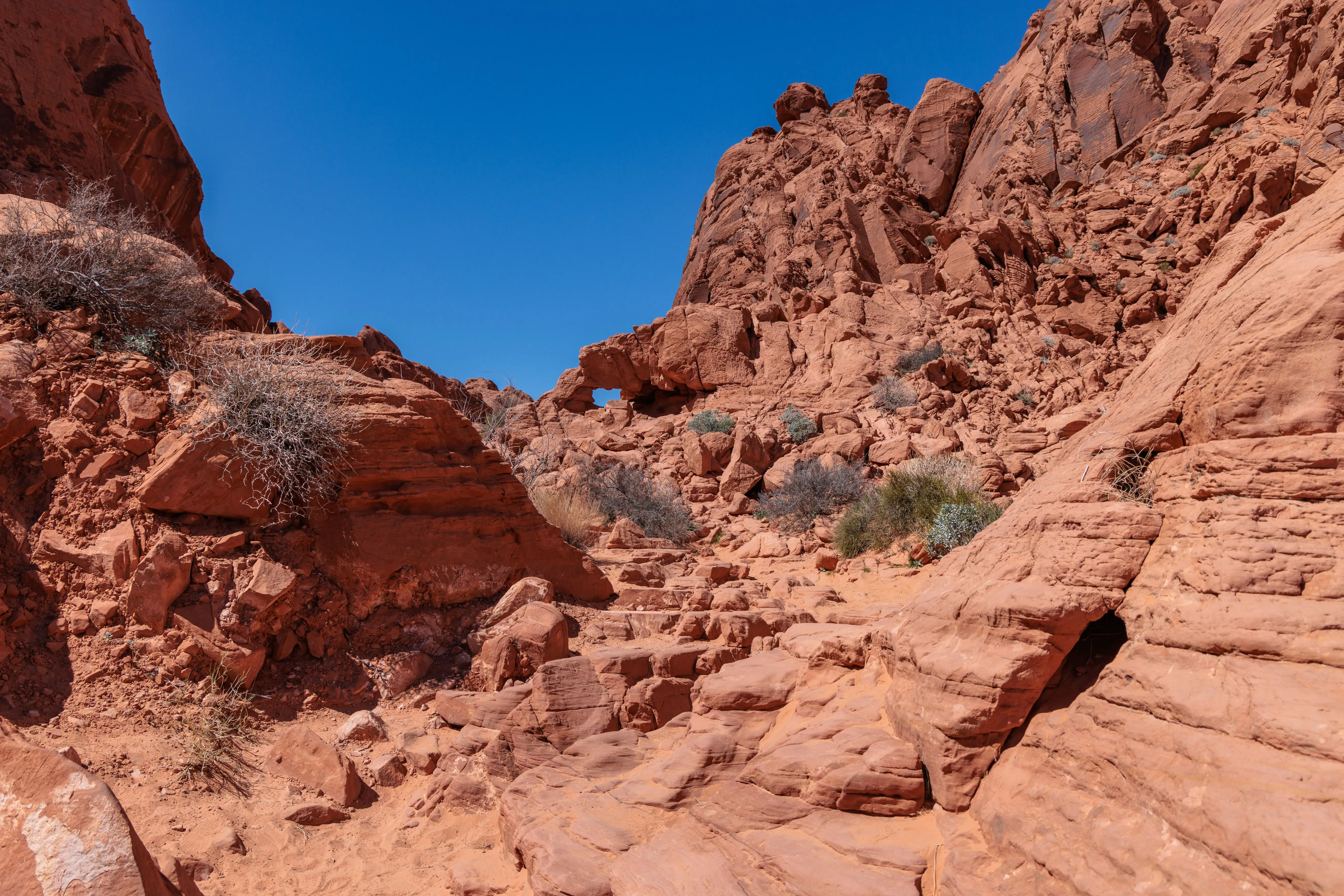 red rocks in valley of fire state park