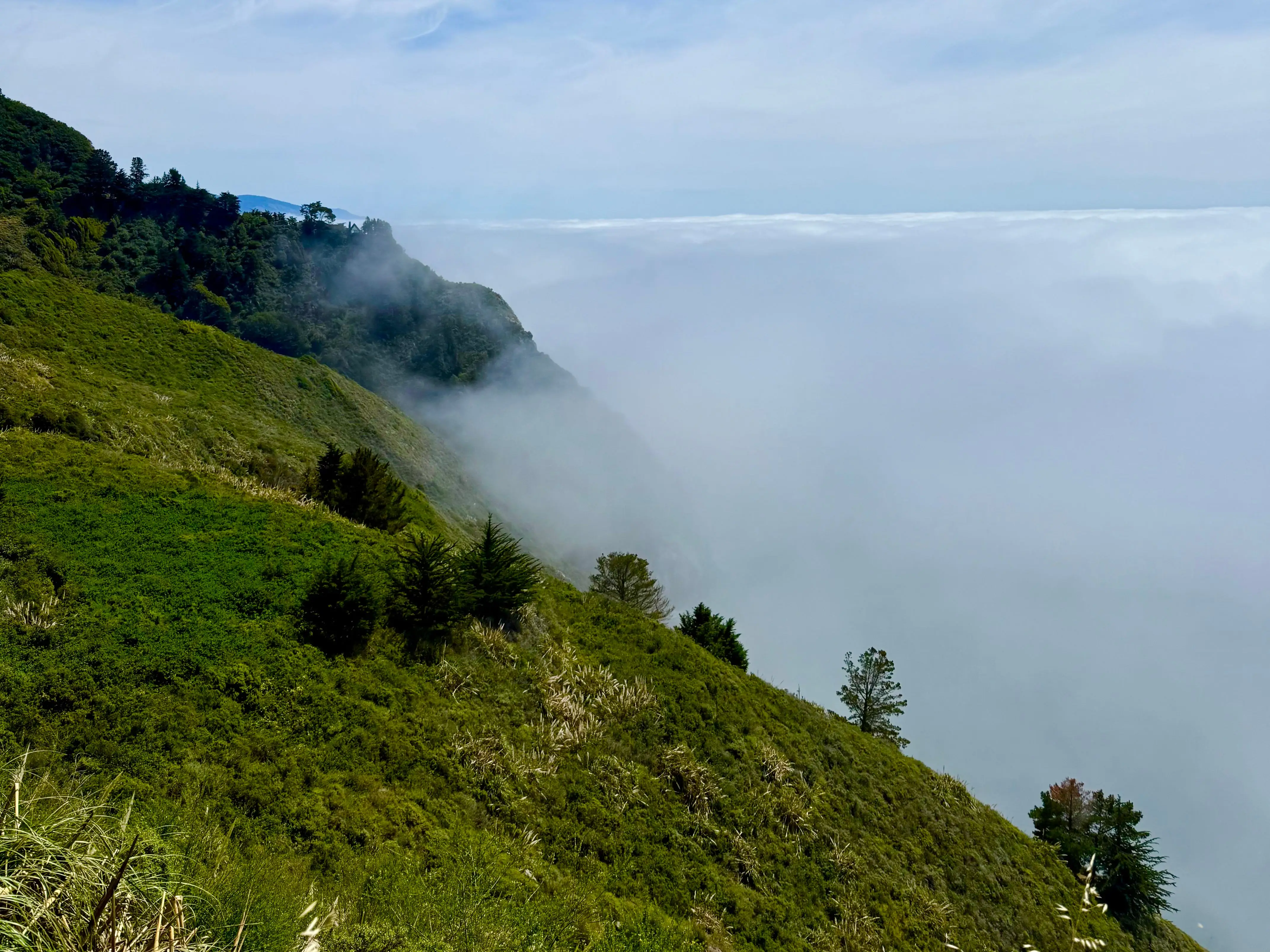 Fog and hills of Big Sur