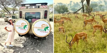 We went on our first African safari. Our trip would’ve been better if we’d known these 5 things before we left.